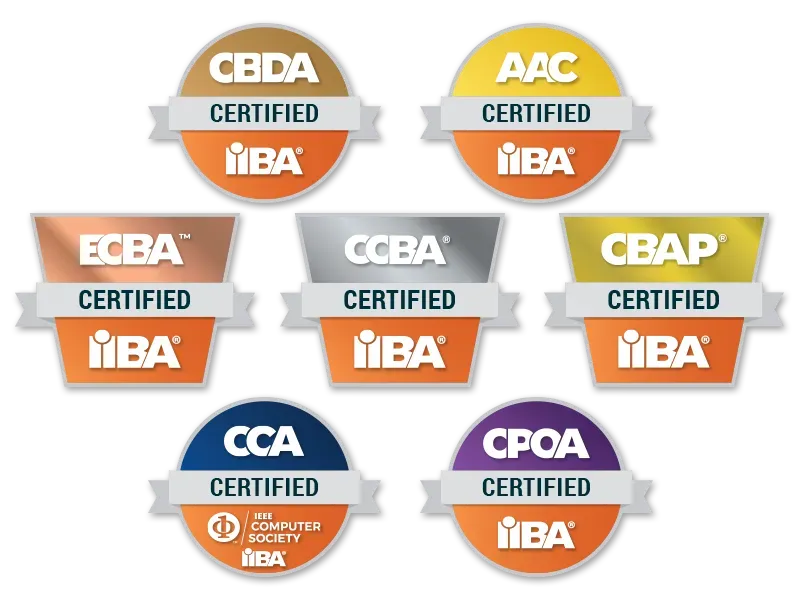 Iiba Santa Pass IIBA Certification Exams Online | Pay Afte... • CBTPROXY