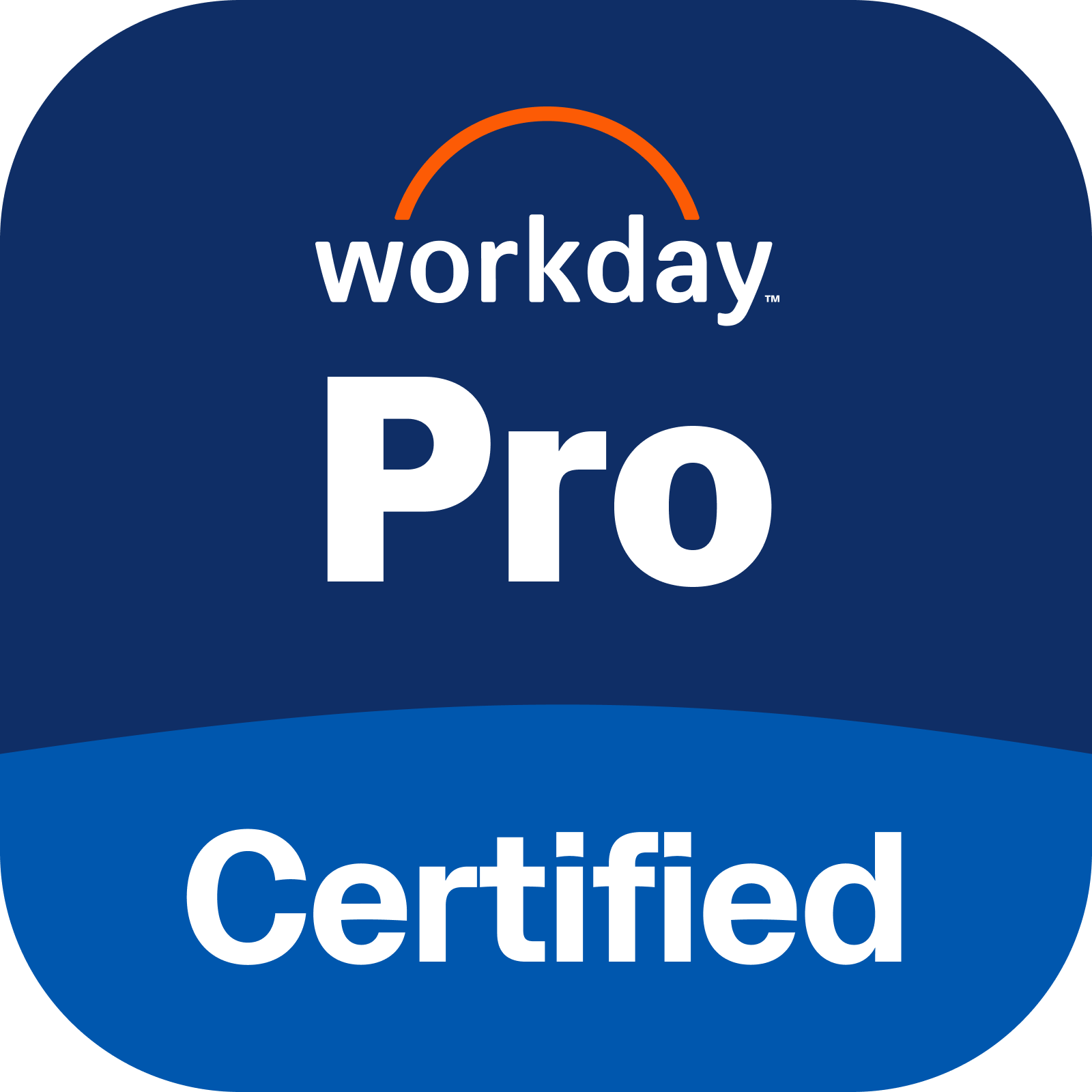 Workday Workday Pro AU Payroll WD-PRO-AU-PAY 試験... • CBTPROXY